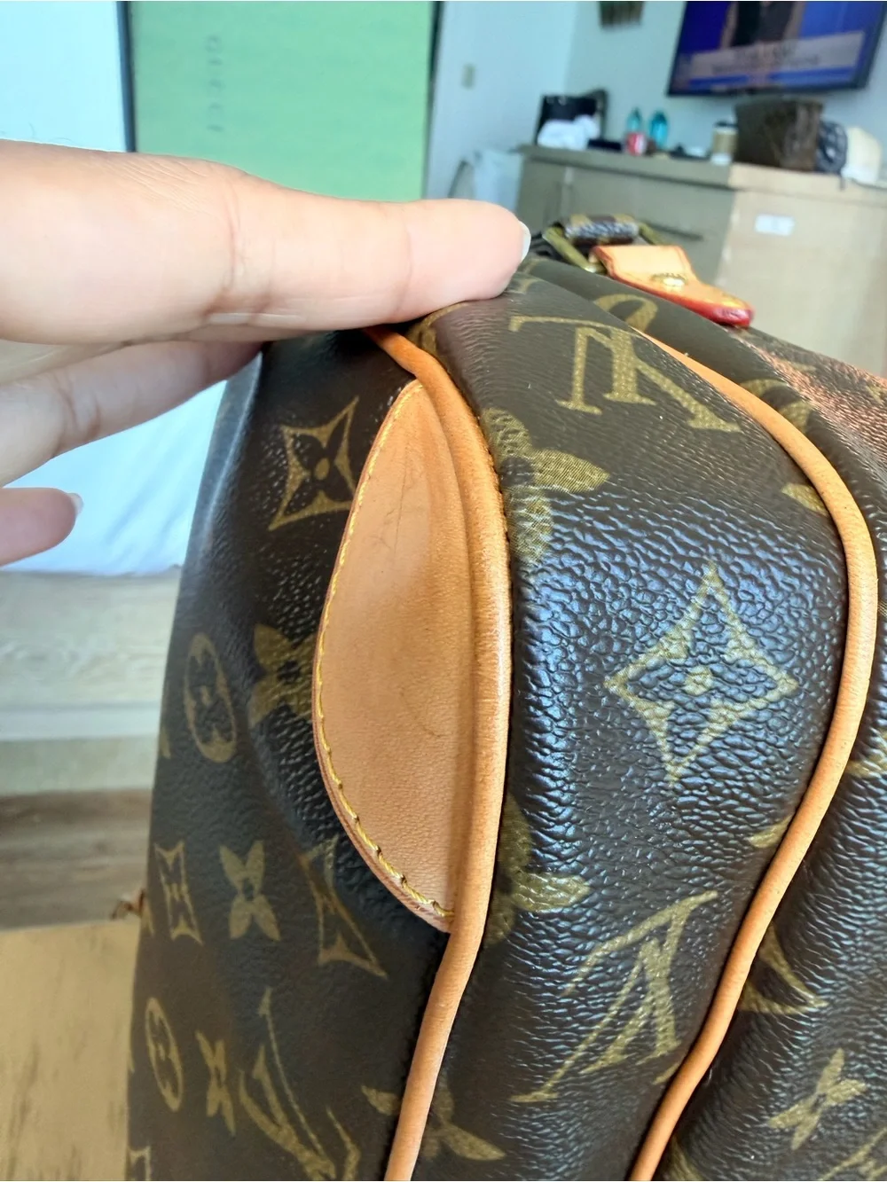 Louis Vuitton Nil GM Monogram